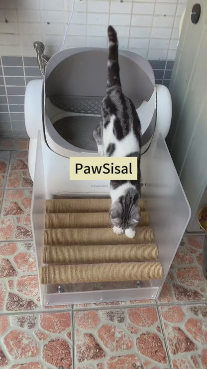 PawSisal Cat Litter Ramp